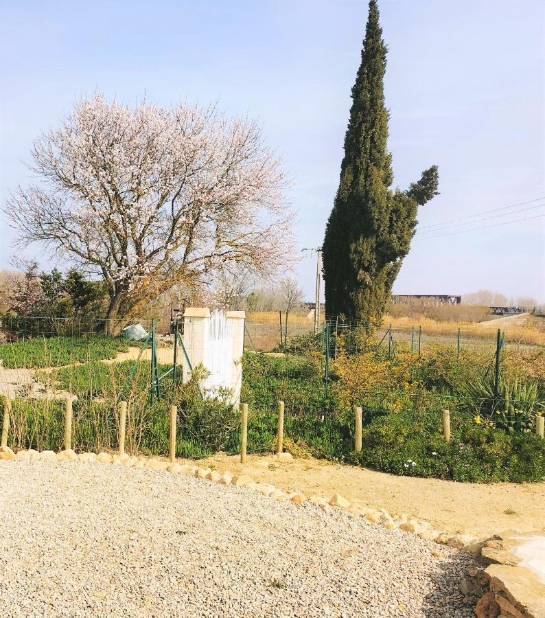 Gites A Moussan ,Domaine De La Barque A 5 Mins De Narbonne Dış mekan fotoğraf
