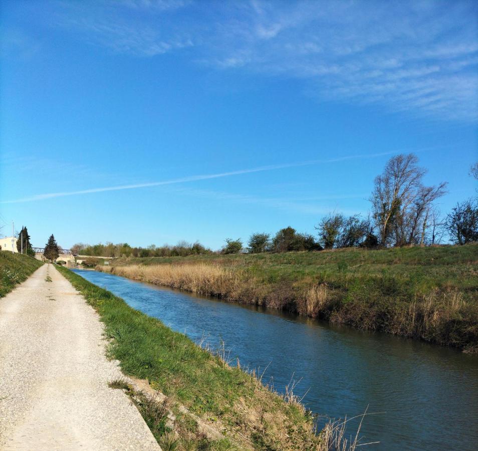 Gites A Moussan ,Domaine De La Barque A 5 Mins De Narbonne Dış mekan fotoğraf