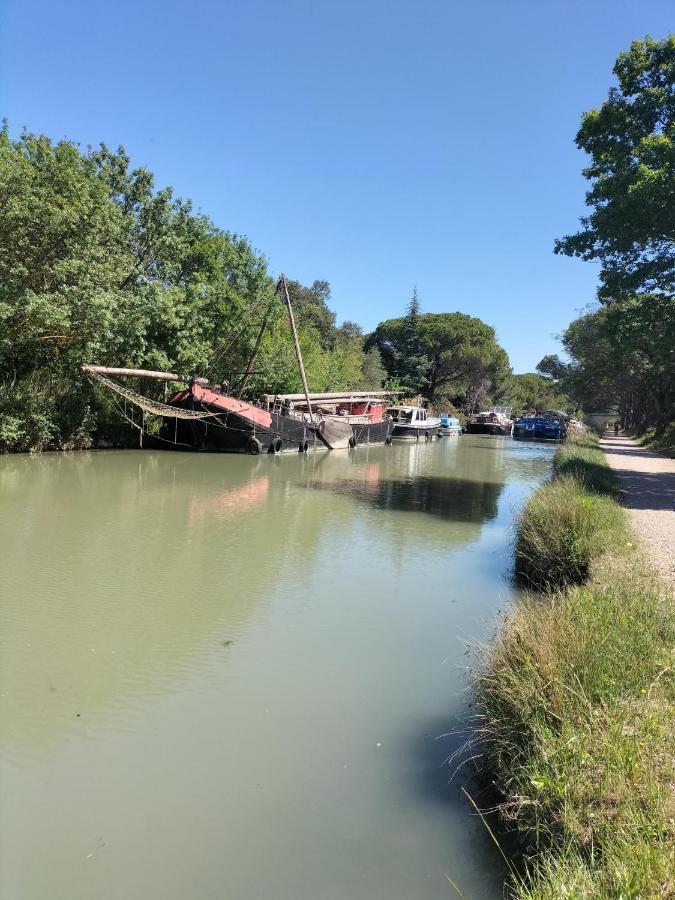 Gites A Moussan ,Domaine De La Barque A 5 Mins De Narbonne Dış mekan fotoğraf